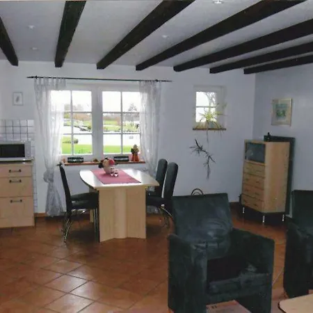 Austernfischer Reitland