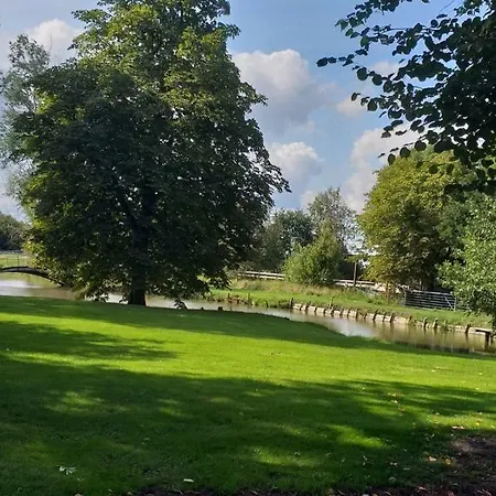 Austernfischer * Reitland