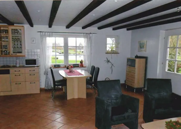 Austernfischer Reitland